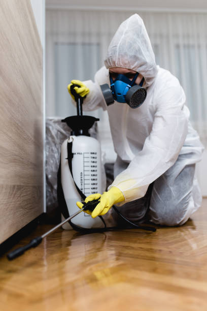 Best Residential Pest Control  in Fairfax, SC